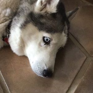 Meet your Posher, Denise